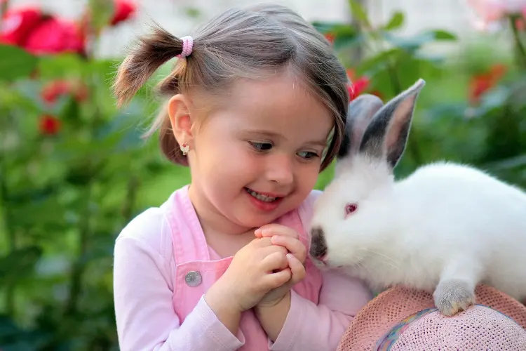 Surprising Reasons Why Rabbits Are The Best Pets