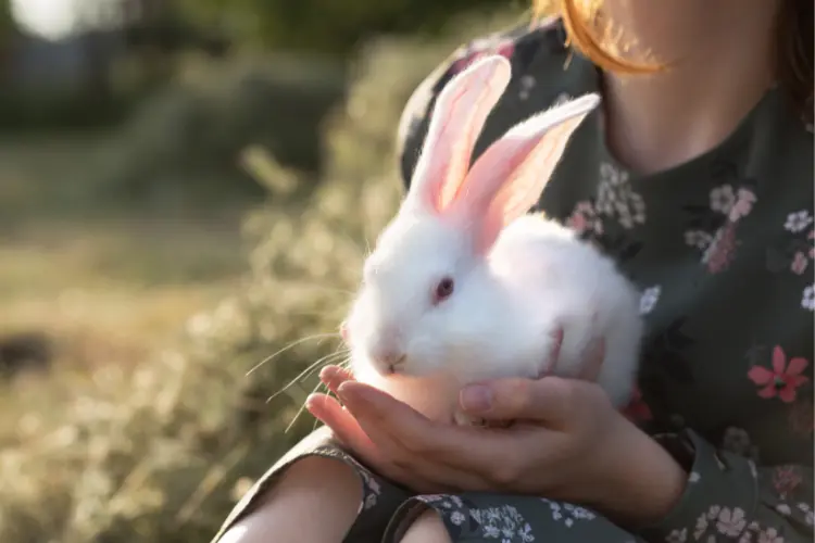 woman holding her rabbit